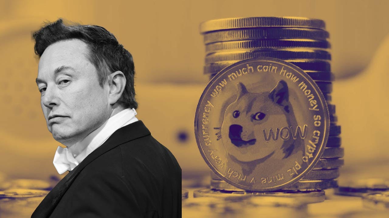 Elon Musk telah memiliki keterkaitan yang erat dengan DOGE. (Foto CDI)