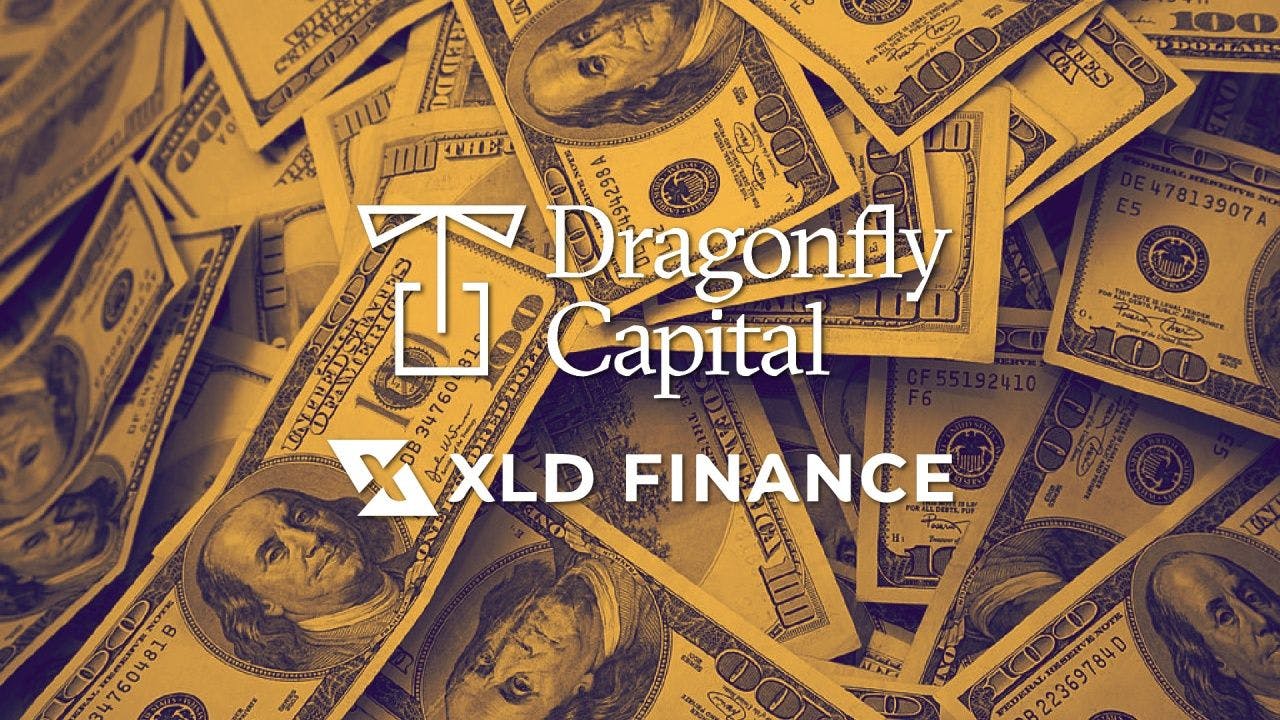 Dragonfly Capital Raih hampir 200M untuk pengembangan DeFI XLD Finance. (Foto CDI)