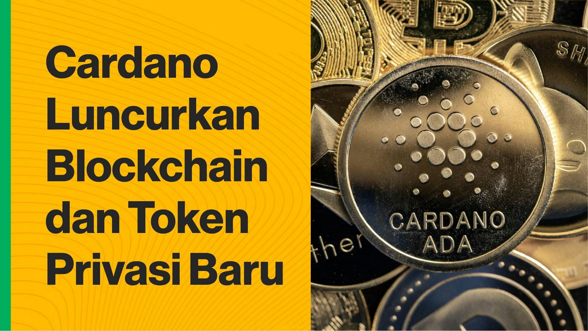 Blockchain Midnight dan sebuah token bernama dust. (Foto CDI)