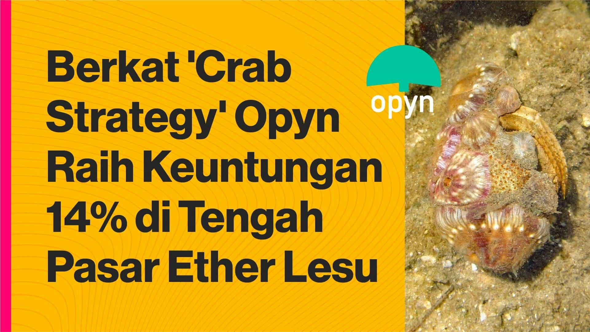Crab strategy dari Opyn. (Foto CDI)