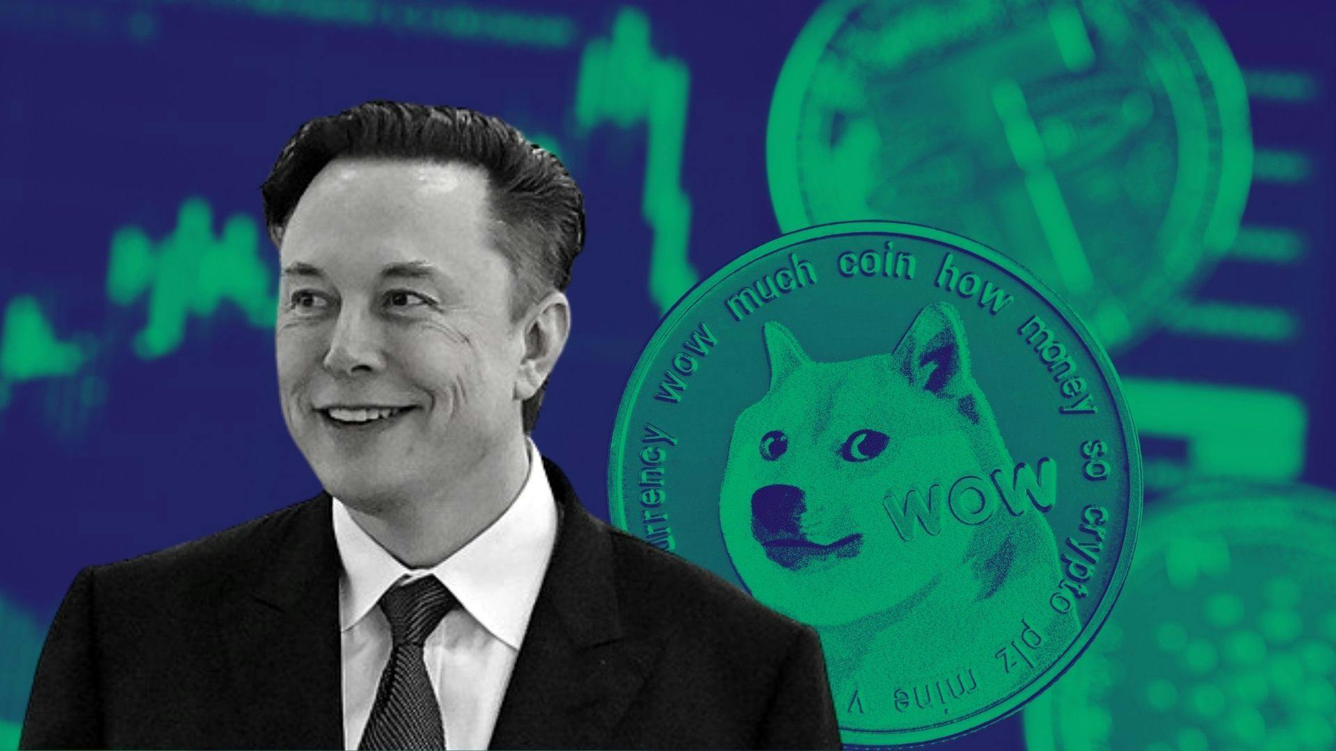 Harga Doge melonjak sejak Elon Musk Nge-tweet. (Foto CDI)