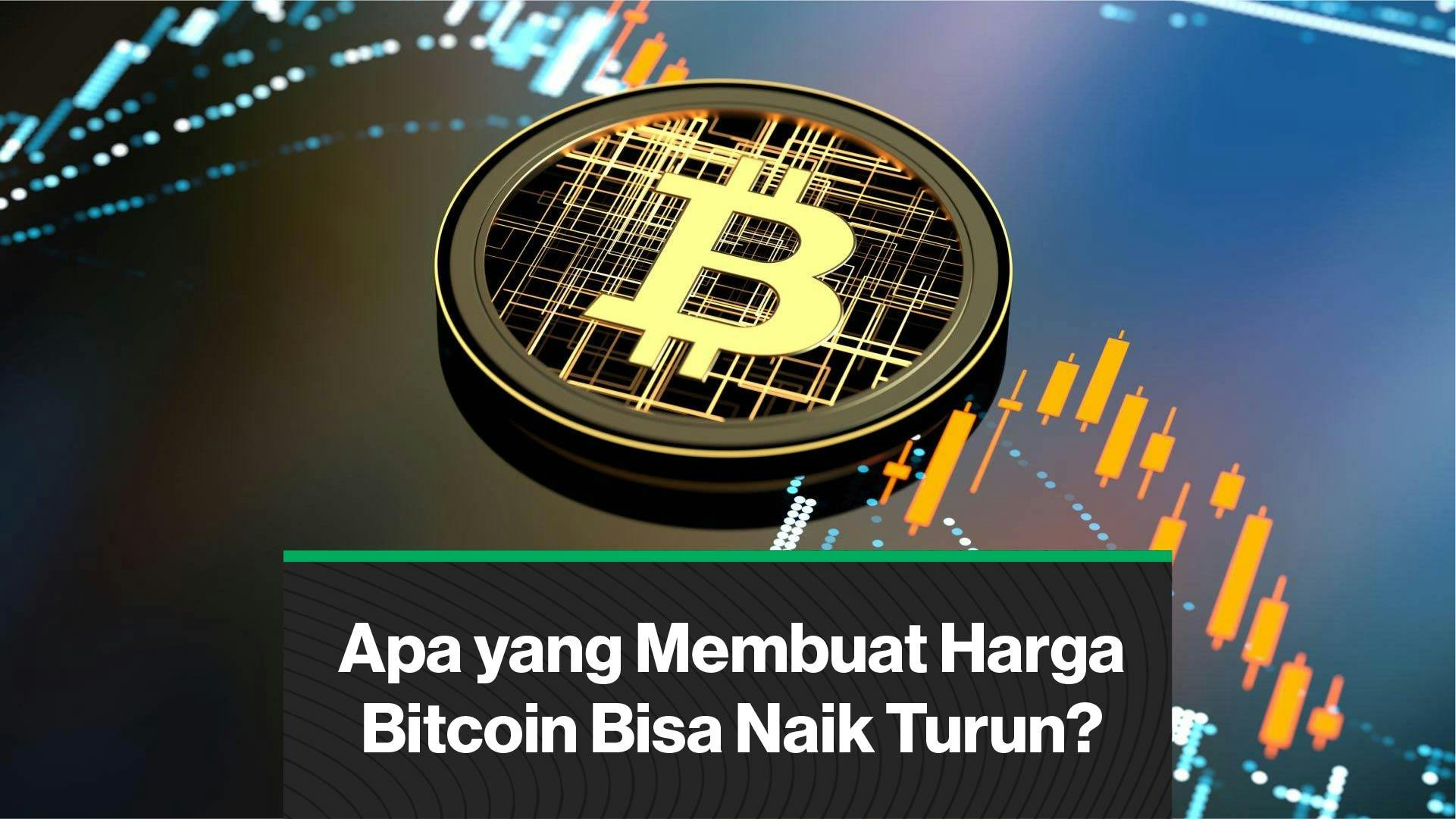 Apa Penyebab Harga Bitcoin Bisa Naik Turun? (Coindesk Indonesia)
