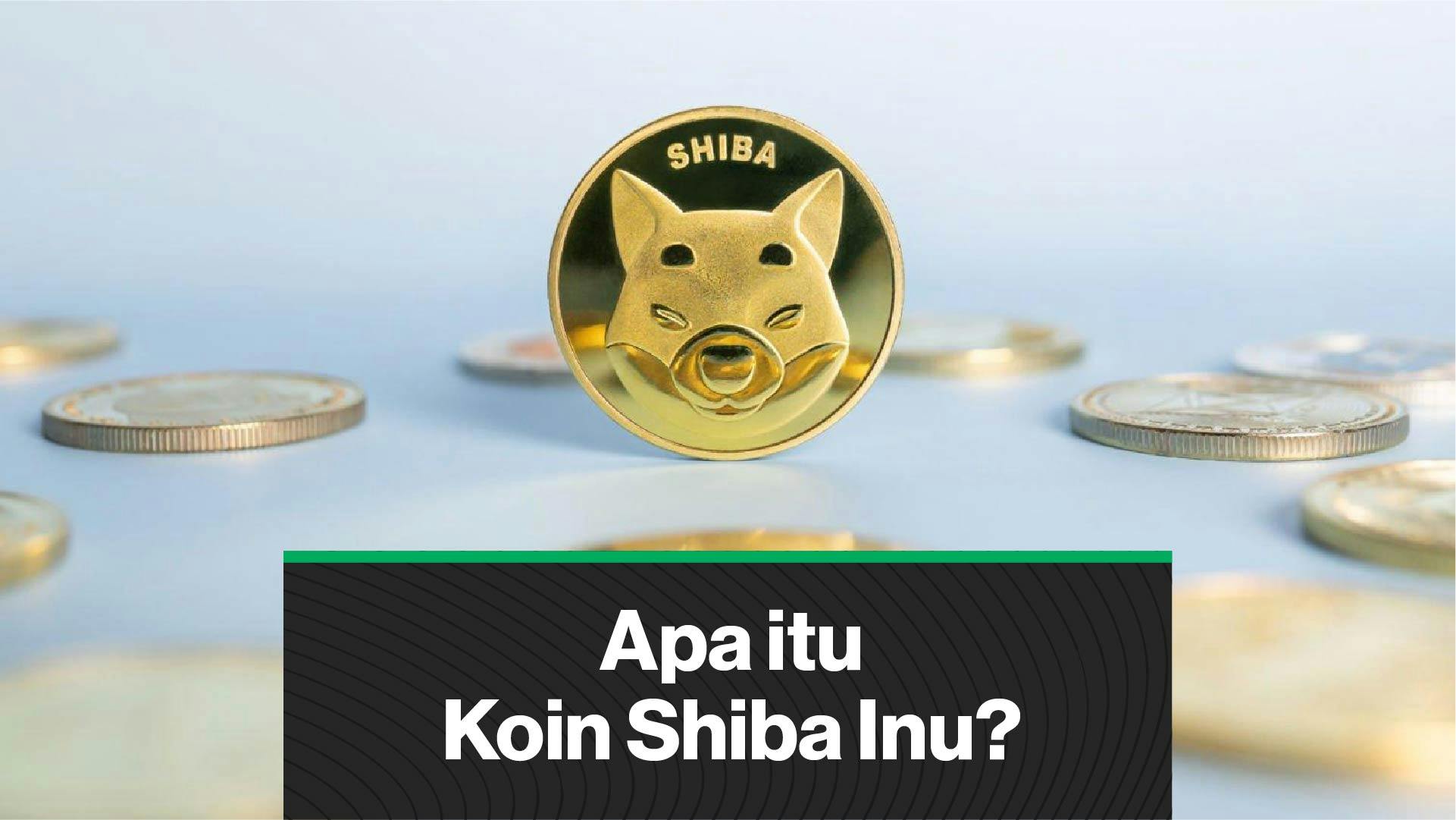 Apa Itu Koin Shiba Inu? (Coindesk Indonesia)